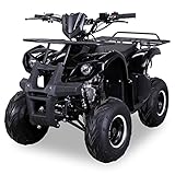 Original Actionbikes Motors Kinder Quad S-8 Farmer | 4-Takt 125 cc 7 kW...