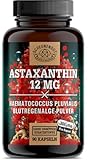 Astaxanthin 12mg -WICHTIG: Oxidationsfrei durch veresterte Struktur...