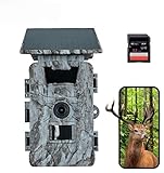 LMHOME Wildkamera WLAN mit App- Solarbetrieb, 5200mAh Akku, Nachtsicht 0.1s...