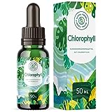 Chlorophyll Tropfen - Flüssiges Chlorophyll aus Weizengras, Alfalfa und...