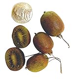 Kiwi Grünfleischig 50 Samen
