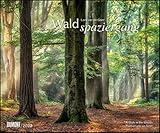 Waldspaziergang 2023 – Fotokunst-Kalender – Querformat 60 x 50 cm –...