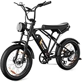 HITWAY E Bike Elektrofahrrad für Erwachsene 20 Zoll 4.0 Fat Tire Ebikes,...