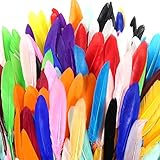 TOAOB 250 Stück Bunte Indianer Federn Natürliche Feder 10 bis 15cm läng...