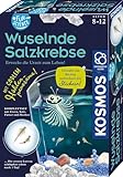 KOSMOS 654160 Fun Science - Wuselnde Salzkrebse,Erwecke die Urzeit zum...