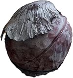 Rotkohl 18 x 1 kg