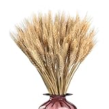 100 Stück GetrockneteBlumen Weizen | Weizenhalme Dried Flowers |...