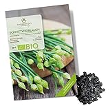 BIO Schnittknoblauch Samen - Küchenkräuter Saatgut aus biologischem Anbau...