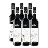 Feinkost Käfer Bio Nero d'Avola (6 x 0,75l)