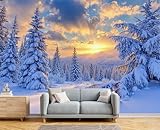 Fototapete 3D Effekt Bäume Im Sonnenuntergang Winterlandschaft 250X170Cm...