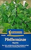 Kiepenkerl Pfefferminzesamen Piperita 1013200 - mehrjähriges Tee- Duft-...