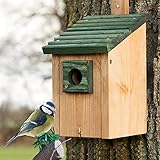 Zooprinz Nistkasten für Wildvögel – Massiv- Holz Vogelhäuschen mit...