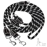 Verstellbar Hundeleine Für Große, Hundeleine Mit Karabiner, Robuste...