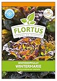 FLORTUS Winterkopfsalat Wintermarie | Gemüsesamen | Salatsamen |...