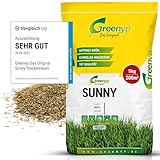 Greenyp® Sunny I dürreresistenter Trockenrasen I 5kg für 200m² I...