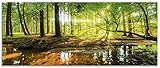 Glasbilder Wandbild Glas Bild einteilig 125x50 cm Querformat Wald Natur...