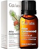 Gya Labs Ätherisches Atlas-Zedernholzöl Bio für Haarwachstum & Diffusor...