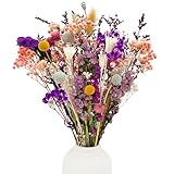 KAOHONG 39 Stück Trockenblumen Deko Set Natürlichen Strohblumen...