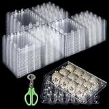 ZOFUN 150 Stück Wachteleierschachteln, 12 Gitter Eierkarton Plastik,...