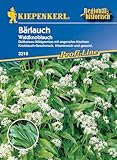Sperli Gemüsesamen Waldknoblauch Bärlauch, grün