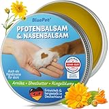 BluePet Pfotenbalsam Hund & Handcreme 50ml – Pfotenpflege Hund gegen...