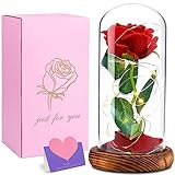 Cirulli Ewige Rose im Glas mit Licht,Rote Rosen Lampe in...