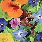Essbare Blütenmischung | 250g - 125m2 | 7 Sorten essbare Blüten |...