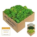 Islandmoos - echtes konserviertes Moos in 200g/500g/1kg/4kg für...