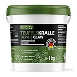 GreenPet Teufelskralle Hunde, Pferde & Katzen 1 kg – Unterstützt...