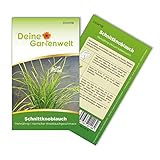 Schnittknoblauch Mehrjährig Samen - Allium tuberosum -...