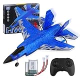 Henakmsl RC Flugzeug 2CH RC Flugzeug Spielzeug HW39 Fighter 2.4GHz...