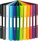 Idena 10426 - Ringbuch DIN A4, im 12er Set, 2-Ring-Mechanik mit 16 mm...