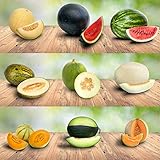 Prademir – Melonensamen Set aus 9 seltenen & leckeren Sorten – 200x...