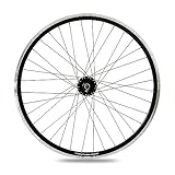 XB3 Vorderrad 28 Zoll Nabendynamo I Hohlkammerfelge I ETRTO 19-622 I NIRO...