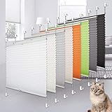 Heligo Plissee Klemmfix Plisseerollo ohne Bohren Weiß 35x80cm(BxH)...