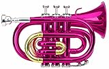 Classic Cantabile Brass TT-400 Bb-Taschentrompete (Messing, Schallbecher...