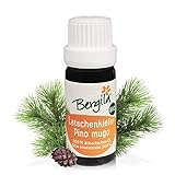Bergila Ätherisches Öl Latschenkiefer (pinus mugo) Bio, 10 ml - aus 100%...