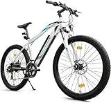 BLUEWHEEL E-Bike I Elektrofahrrad Pedelec für Herren I StVZO I Deutsche...