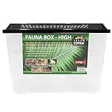 Fauna Box High (High, Large)