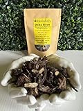 OSHA Root Bear Root Ligusticum porteri 28.3 g