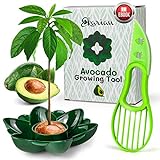 EKARIAN Avocado Growing Tool | Geschenke für Frauen | Avocado Pflanzen |...