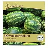 Samenliebe BIO Wassermelonen Samen alte Sorte Crimson Sweet süße Melone...