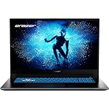 ERAZER Defender P50 43,9 cm (17,3' Zoll 144Hz) Full HD Gaming Laptop (Intel...