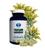 Echte GOLDRUTE Solidago 120 KRÄUTER Kapseln [OHNE ZUSATZSTOFFE] zur FREUDE...