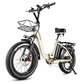 HANEVEAR Elektrofahrräder 20 Zoll E Bike Klapprad Pedelec 24Ah/48V...