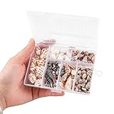 Karkar 100Pcs Muscheln Deko - Muschelketten Gemischt Zubehör, Eeignet Für...