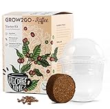 GROW2GO Dein eigener Zwergkaffee Strauch zum selber Pflanzen - Immergrüner...