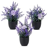 3 Stück Künstliche Pflanzen wie Echt, Klein Kunstblumen im Topf Dekos,...