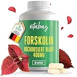 Vitabay Forskolin 400mg - 90 Kapseln aus Coleus Forskohlii Extrakt -...