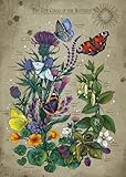Ravensburger Puzzle 12001435 - Lifecircle Butterfly - 1000 Teile Puzzle...